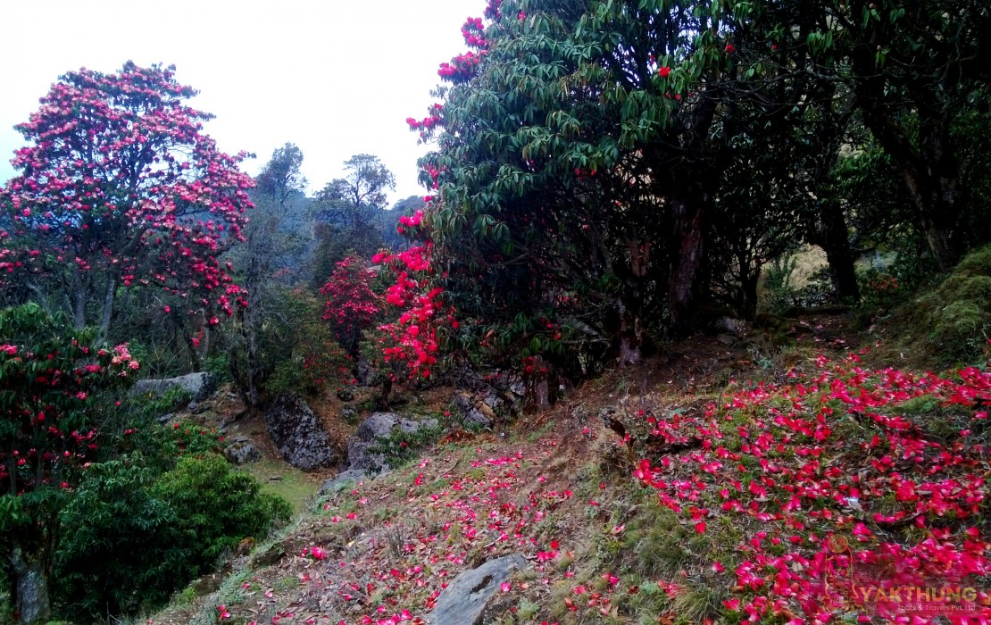 east-nepal-at-glance