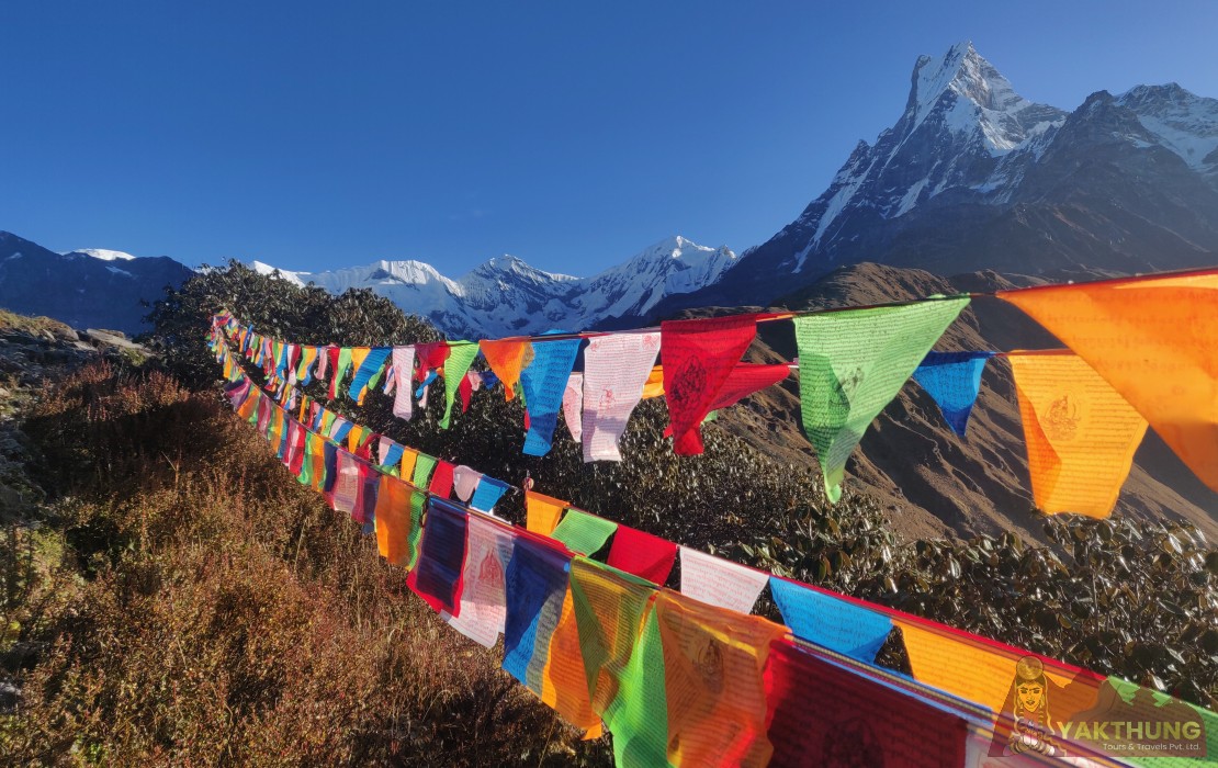 mardi-himal-trek-package